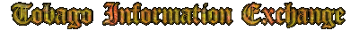 Flashing header